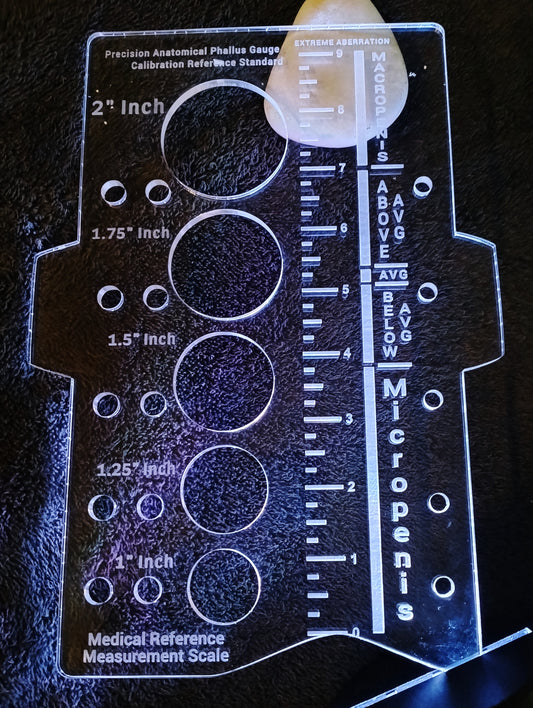 Penis Size Ruler | Funny Gag Gift for Him | Bachelor Party Gift | Adult Novelty Measuring Gauge | Acrylic Engraved Ruler | Couples Joke Gift